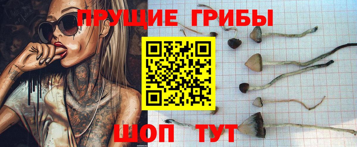 что такое наркотик  Галлюциногенные грибы Psilocybine cubensis  Вход с VPN  Краснокамск  Псилоцибиновые грибы MAGIC MUSHROOMS 