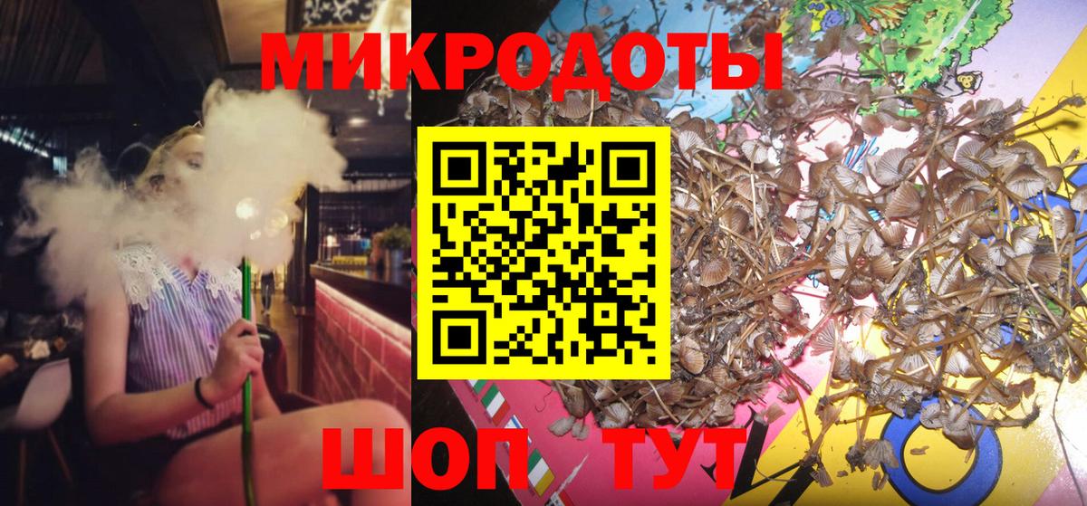 Галлюциногенные грибы Cubensis Краснокамск